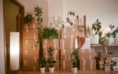 Il lato emotivo del trasloco: perché cambiare casa ci destabilizza più di quanto ammettiamo